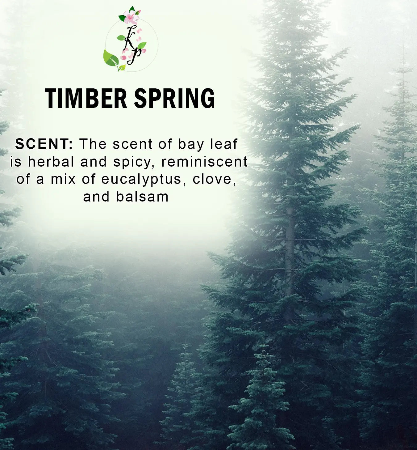 Timber Spring Natural Organic Body Lotion 12oz